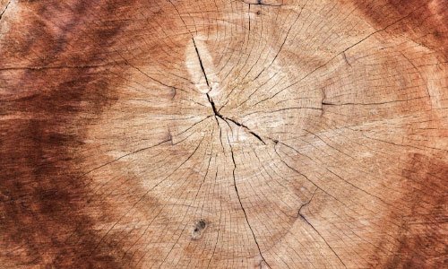 Warm Oak Timber